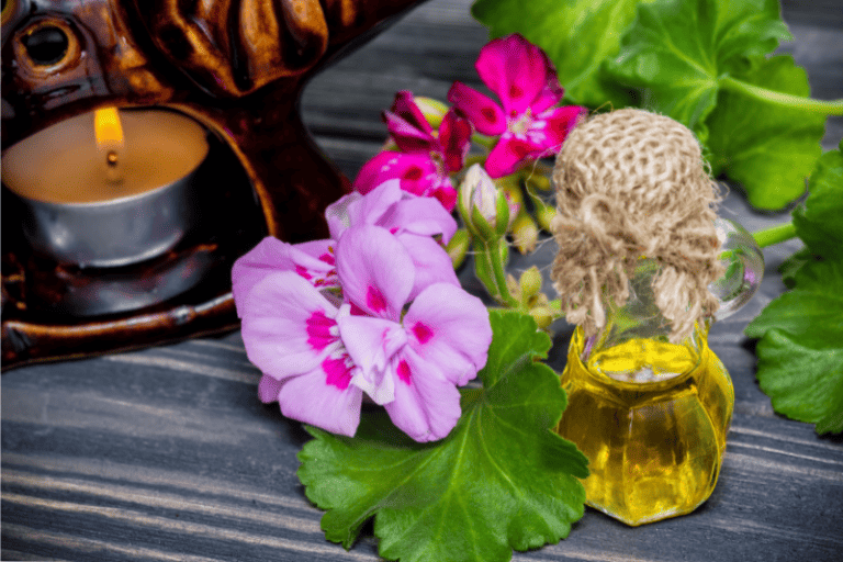 BEST OILS FOR WOUNDS, CUTS, AND SCRAPES