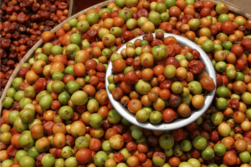 Organic Marula Oil