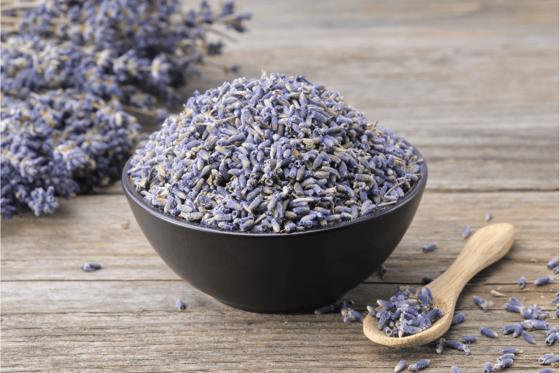 Organic Lavender Infusion