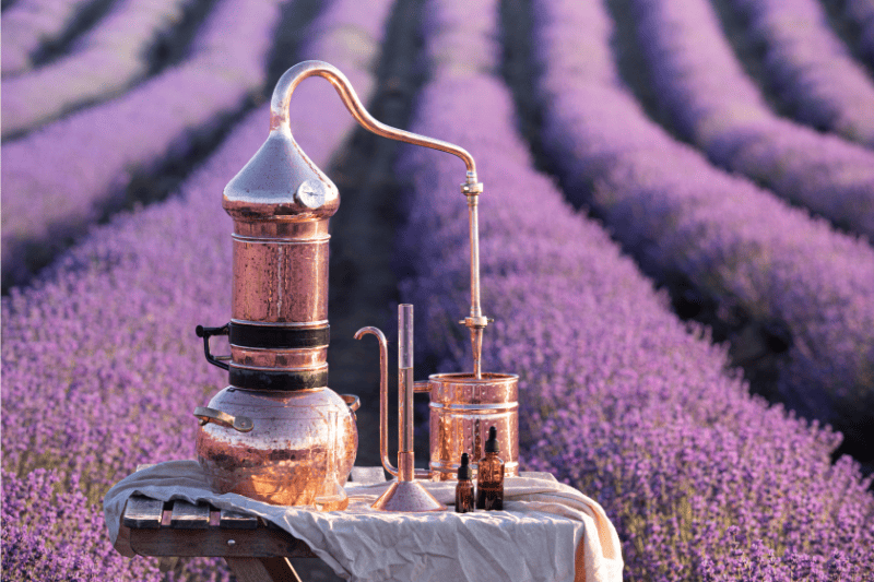 Organic Lavender Hydrosol