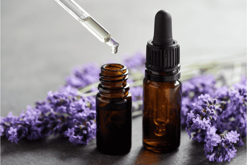 Organic Lavender Essential Oil