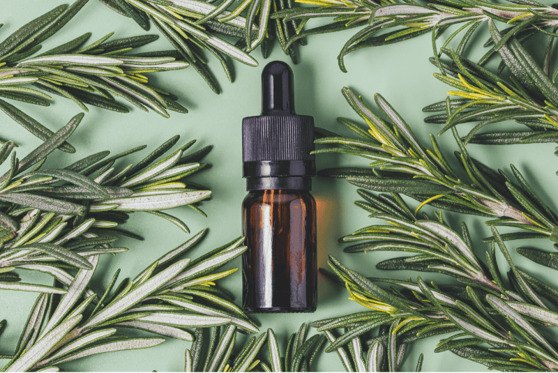 Rosemary CO2 Extract