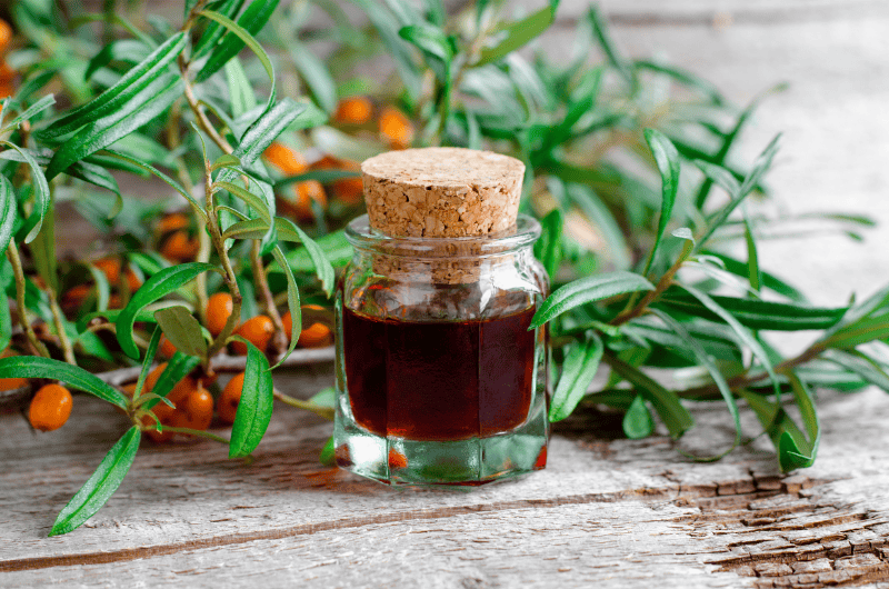 Sea Buckthorn CO2 Extract