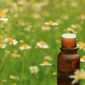 German Chamomile CO2 Extract