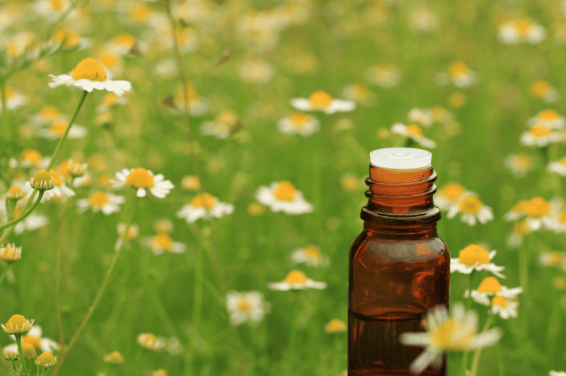 German Chamomile CO2 Extract