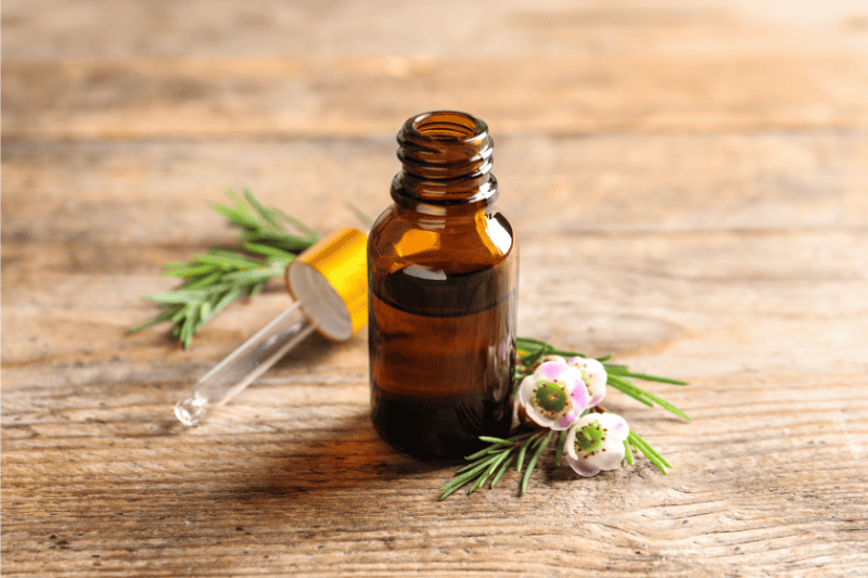 Organic Tea Tree Essential Oil