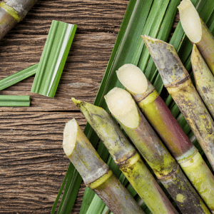 Sodium Levulinate from Sugarcane